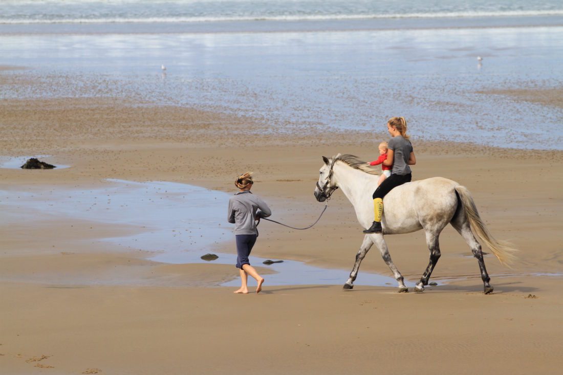 Family and pony Brittany