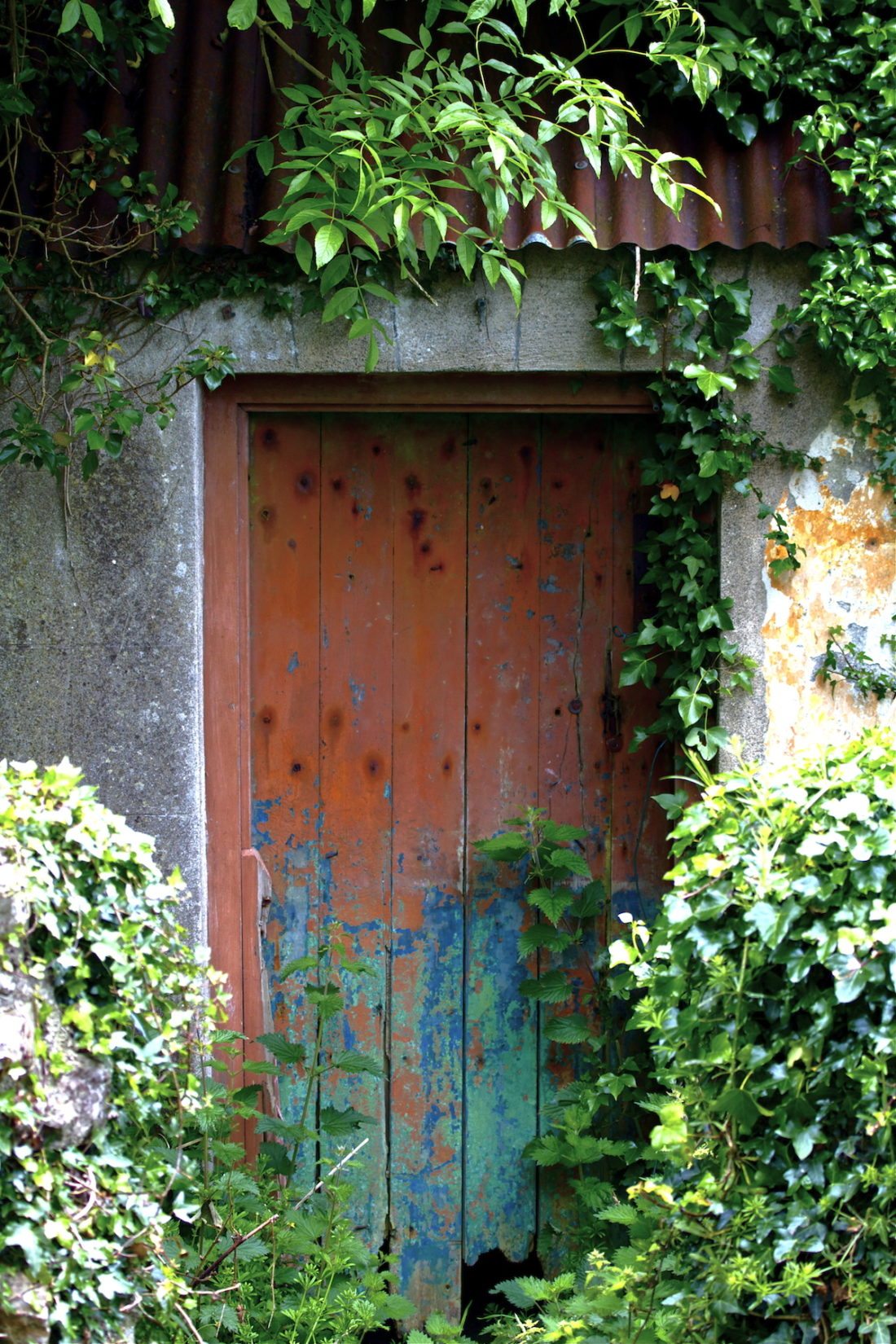 old-door
